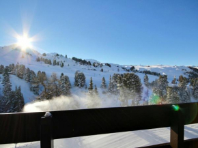 Appartement Belle Plagne, 2 pièces, 4 personnes - FR-1-455-14